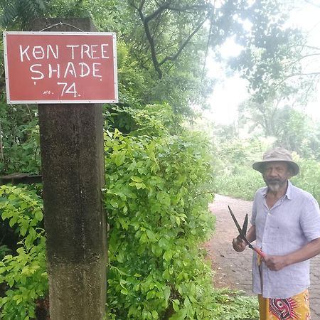 Appartamento Kon Tree Shade Dambulla Esterno foto