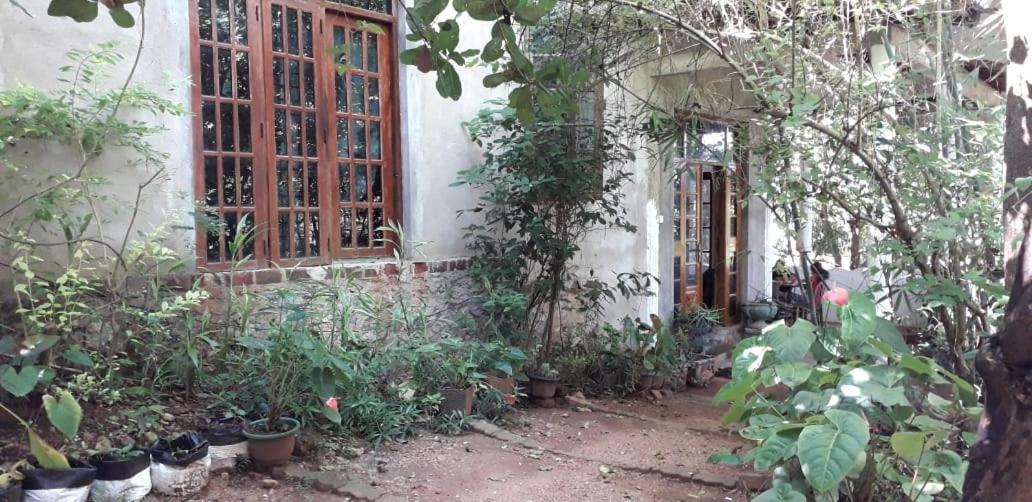 Appartamento Kon Tree Shade Dambulla Esterno foto