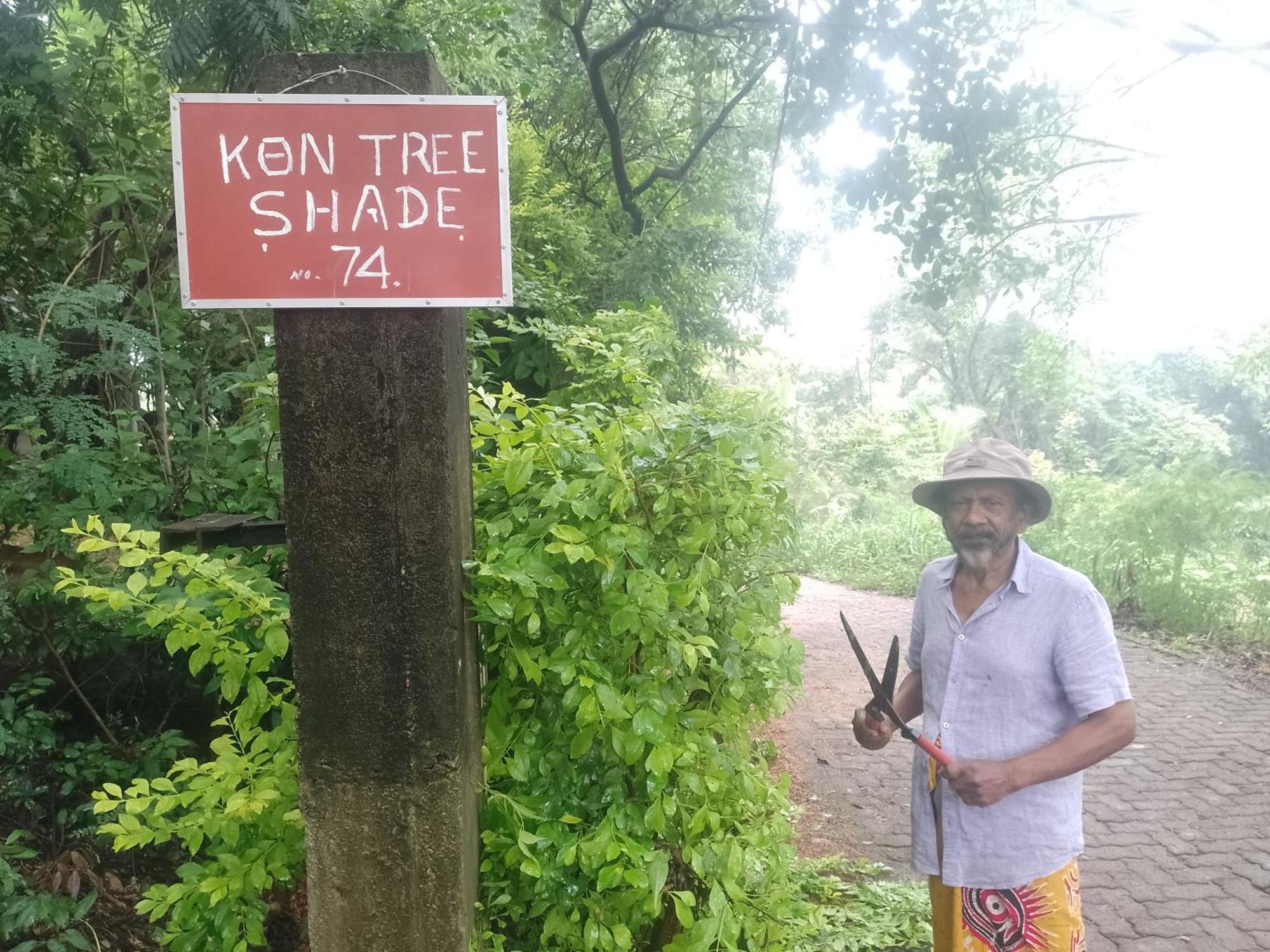Appartamento Kon Tree Shade Dambulla Esterno foto